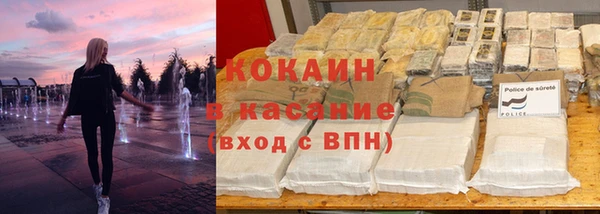 прущие грибы Горнозаводск