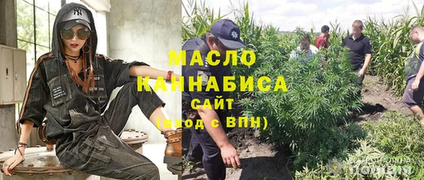 молекула духа Сосновый Бор