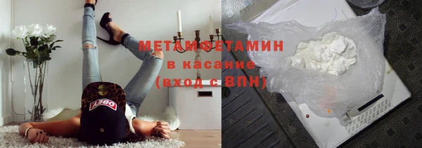 прущие грибы Горнозаводск