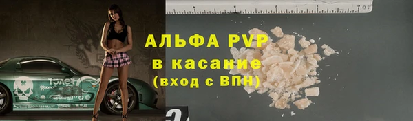 mdpv Горно-Алтайск