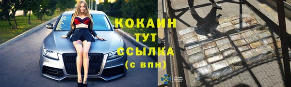 mdpv Горно-Алтайск