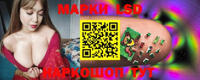 СК Донской