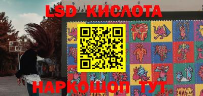 стаф Дубна
