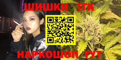 стаф Дубна