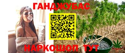 СК Донской