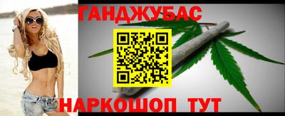 стаф Дубна