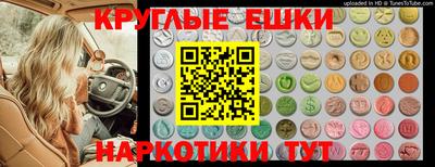 стаф Дубна